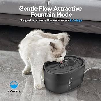 Cat Water Fountain 2.3L/78oz,Maifan Stone Filter for Better Drinking Water,Easy to Clean,Quieter Automatic Pet Water Foutains for Cats Indoor,Small Dog Water Foutain(Black, 2.3L) : Amazon.ca: Pet Supp