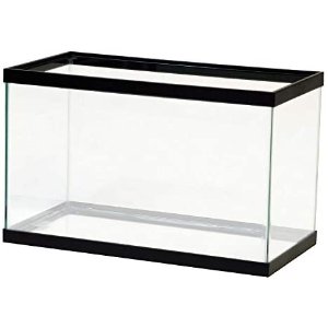 Aqueon 标准玻璃矩形水族箱 10加仑