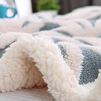 LOMAO Sherpa Fleece Blanket Fuzzy Soft Bed Blanket Dual Sided Throw Blanket fit Couch Sofa (Light Blue,51x63 inch): 舒适绒毛毯子