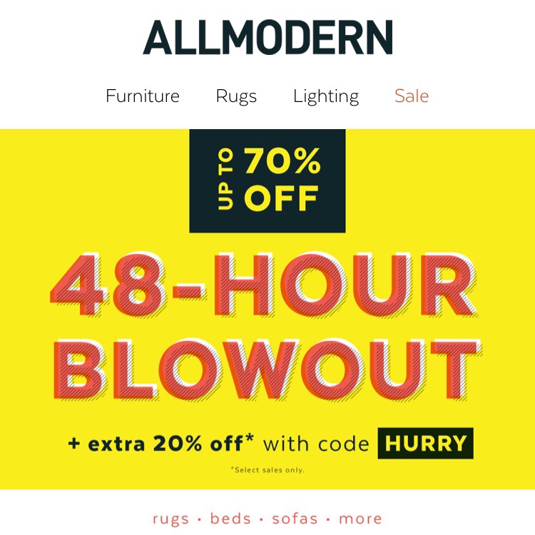 48 Hour Blowout | AllModern