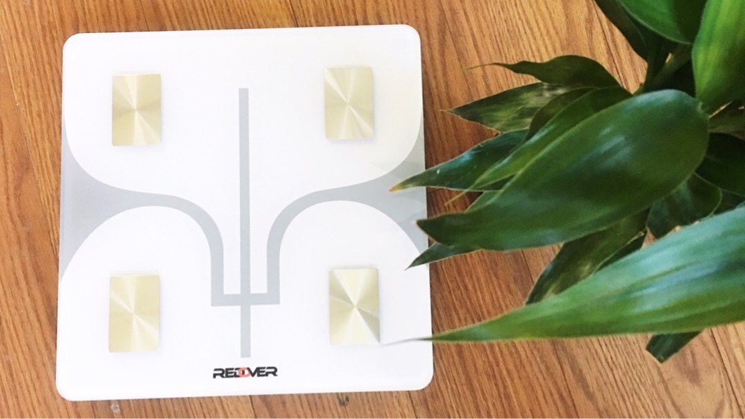 Redover 体脂秤:让我们可以有多了解自己呢?