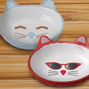 Walmart Select Cat Bowls on Sale