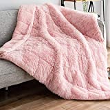 Amazon.com: Coolplus Shaggy Weighted Blanket 15lbs for Adult 成人羊羔绒毛毛重力毯