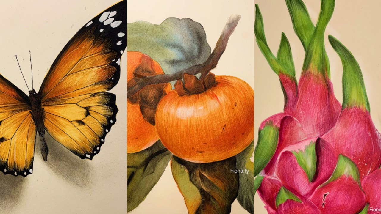 Fiona的原创实用简笔画小教程合集🦋蝴蝶、🍅柿子、🔥火龙果