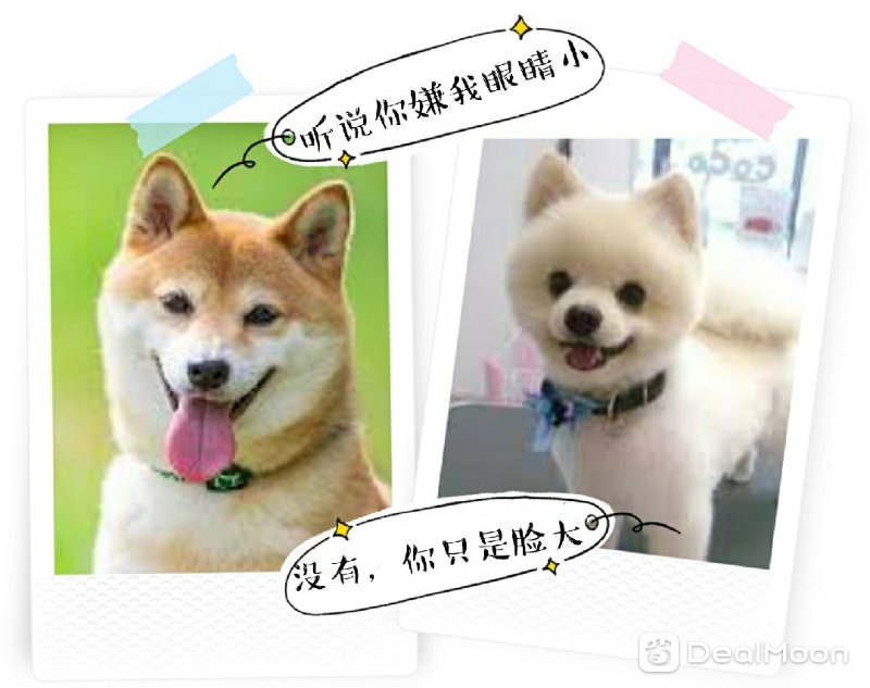 3068b3637ad417fb0be571a.jpg