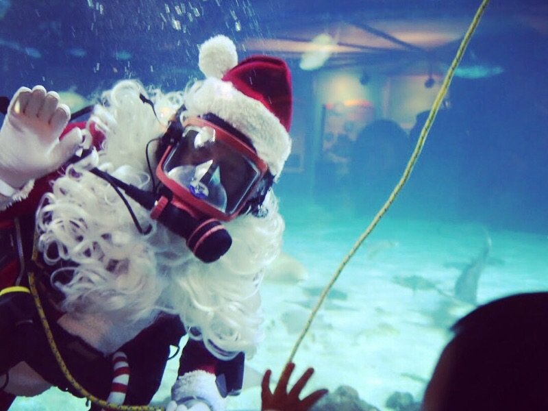 Adventure Aquarium圣诞特别活动攻略