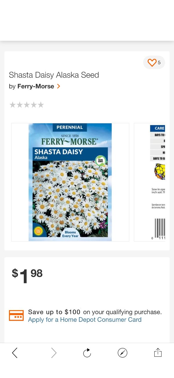 Ferry-Morse Shasta Daisy Alaska Seed-6461 - The Home Depot