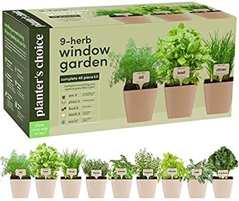 Amazon.com: 9 Herb Window室内盆栽 Garden -