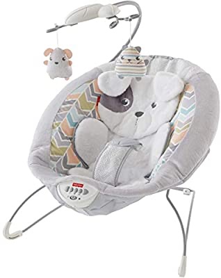 Amazon.com : Fisher-Price Sweet Snugapuppy Dreams Deluxe Bouncer : Baby