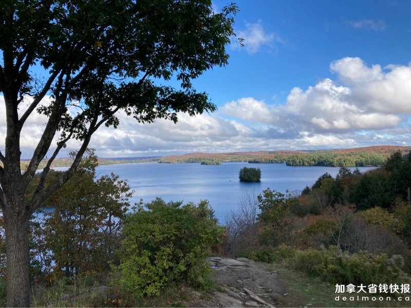 d1e1ab89ff60144b31be722.jpg