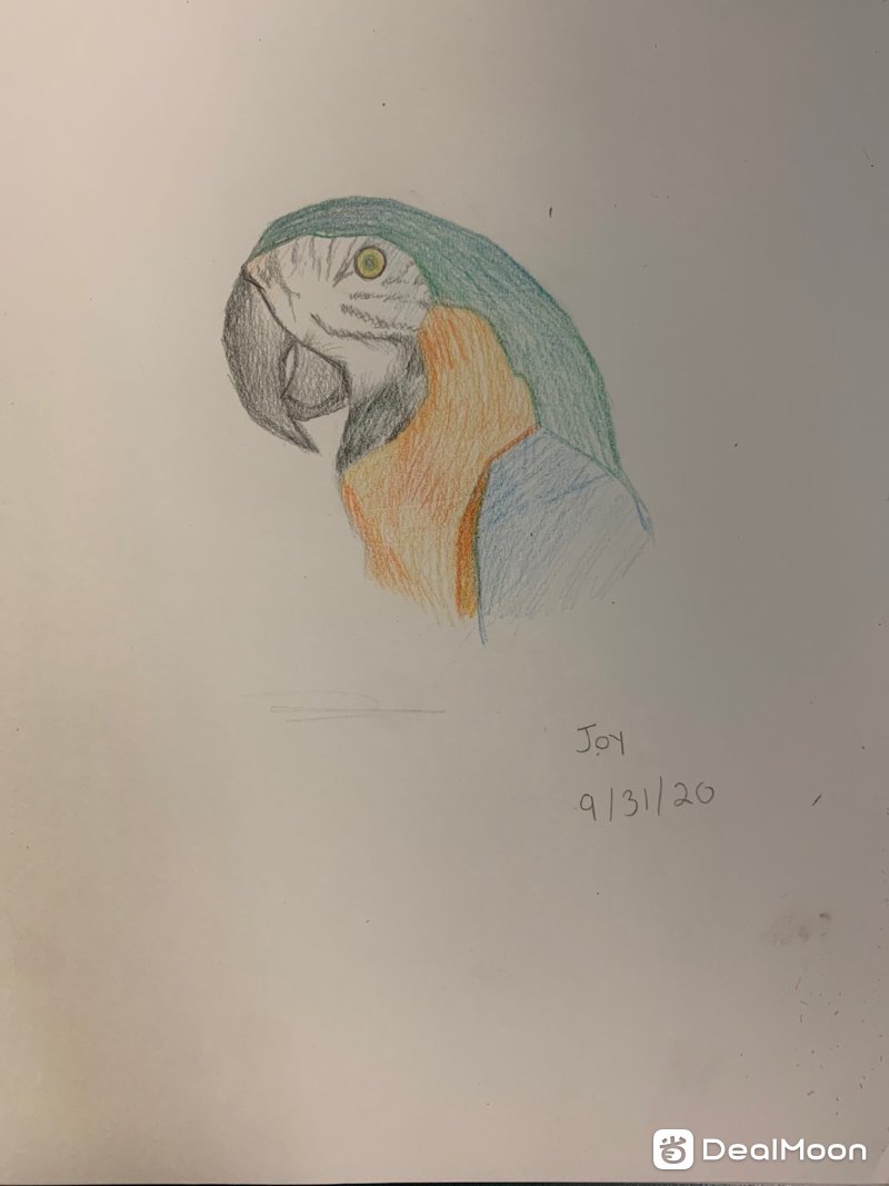 12ccf0114733caf486201b9.jpg