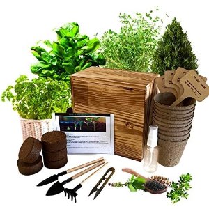 Hand-Mart 4 Herb Seeds Complete with Wood Planter Herb Garden