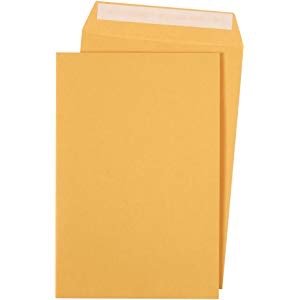 $11.68 牛皮纸目录信封袋Amazon.com : Quality Park 6 x 9 Self Sealing Brown Kraft Catalog Envelopes, 28 lb, for Mailing, Storage and Organizing, 100 per Box (44162) : Office Products