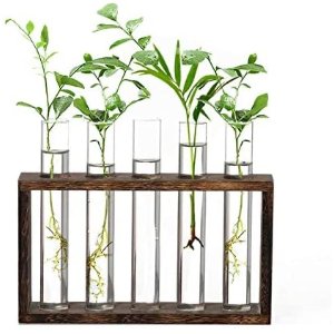 XXXFLOWER Wooden Stand with Test Tube Rack