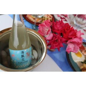 两件单品8折 TippsySake.com | Tippsy Deal Tuesday