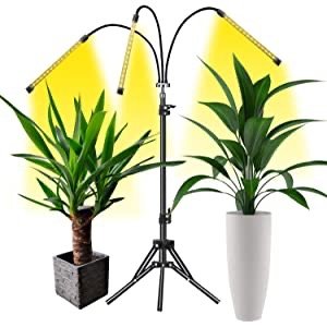 YuanWen 可调节高度立式全光谱植物生长灯 3头