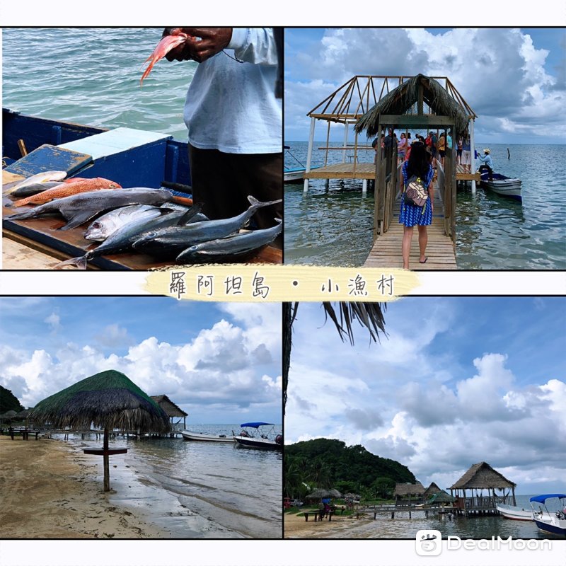 d8f211828cb0b567e144044.jpg