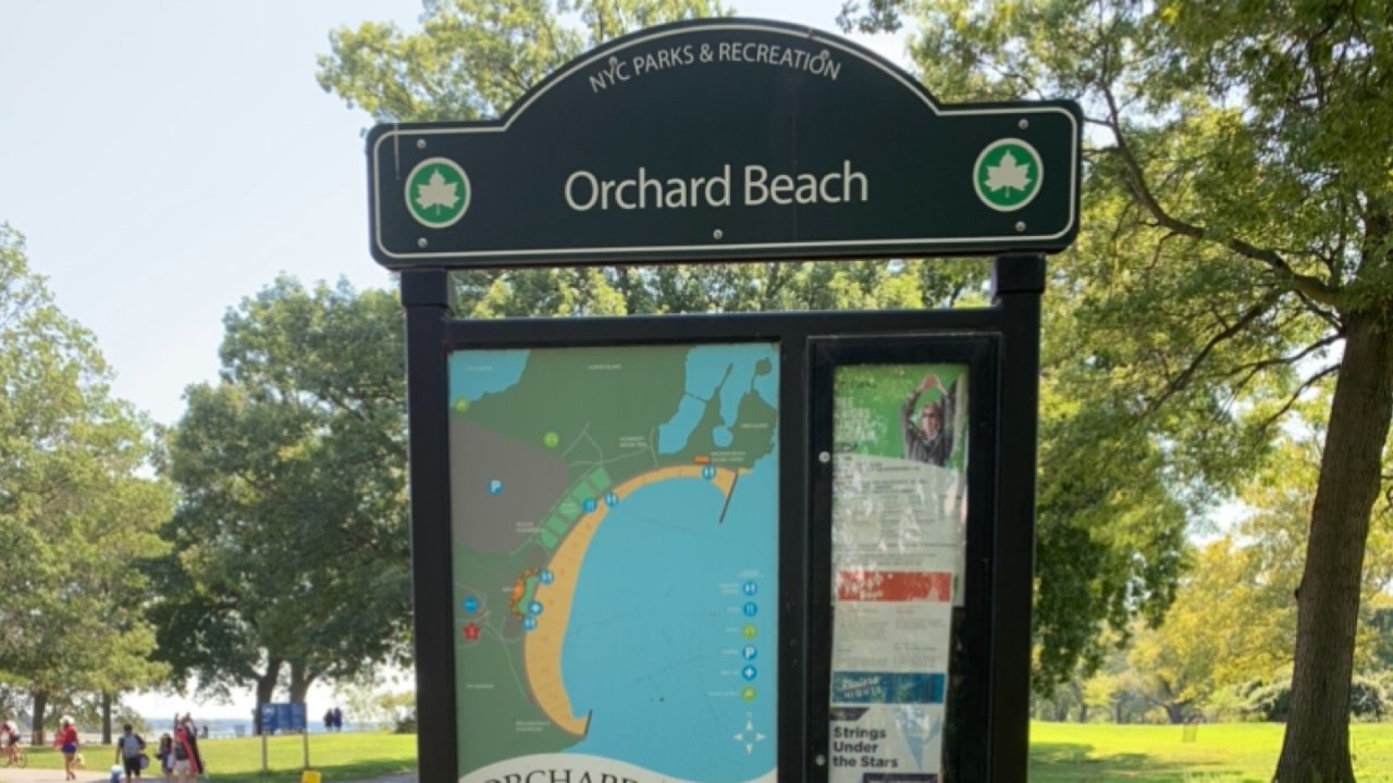 春游好去处，orchard beach果园海滩和Pelham Bay公园。 