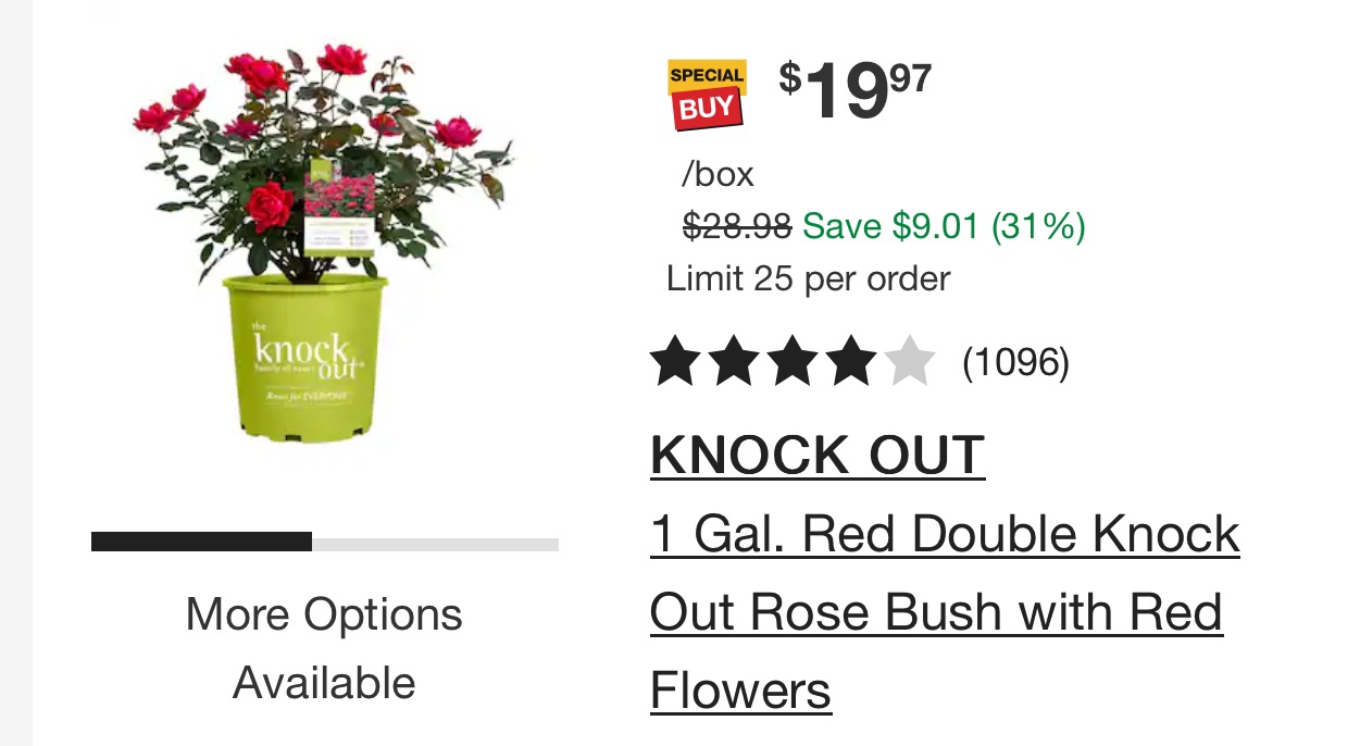 The Home Depot KNOCK OUT 1 Gal. Red Double Knock Out Rose Bush with Red Flowers 13156