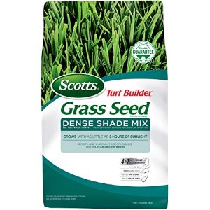 Scotts Turf Builder Grass Seed Dense Shade Mix, 7 lb.