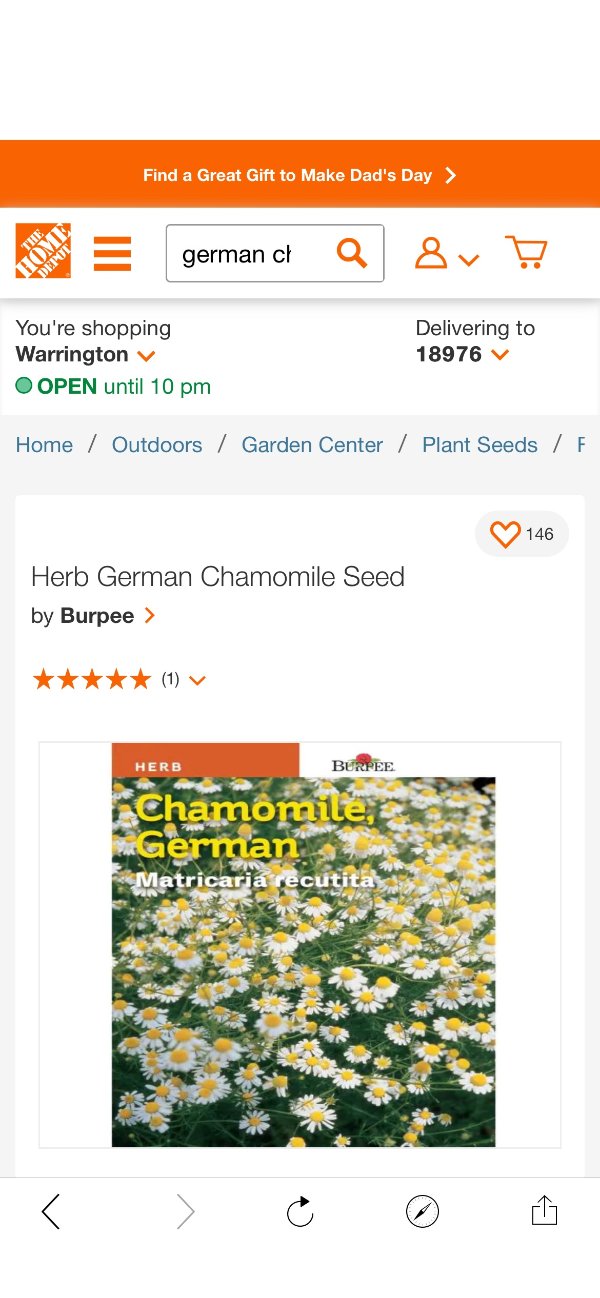 Burpee Herb German Chamomile Seed-66019 - The Home Depot