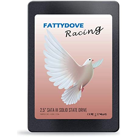 Amazon.com: FATTYDOVE 2.5 inch SSD 240GB Internal Drive SATA III 6 Gb/s Solid State Drive with SATA固态盘