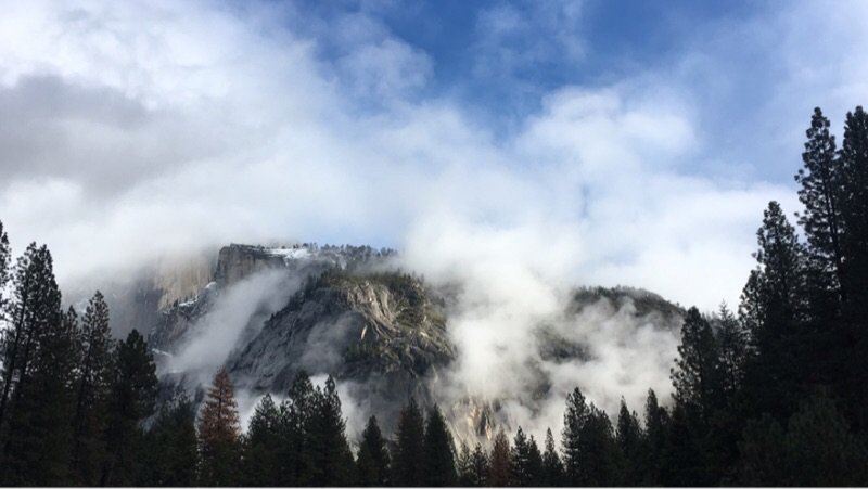 春与雪的交融，来自冬末春初优胜美地（Yosemite）的问候 