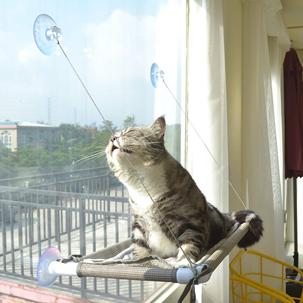 Amazon.com : Cat Bed Window, Cat Window Hammock Window Perch, Safety Cat Shelves Space Saving Window Mounted Cat Seat for Large Cats (Beige Premium Set) : Pet Supplies
