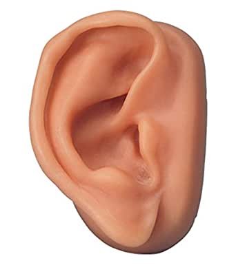 3B Scientific Silicone Right Acupuncture Ear Model