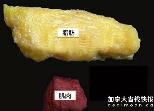 02d4761ea5ddc68a657c599.jpg