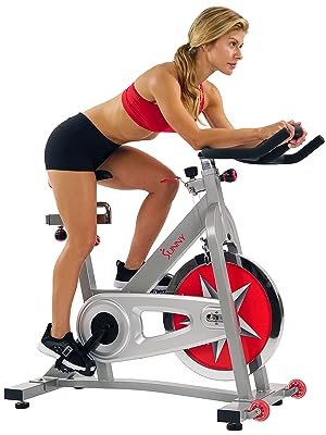 Pro Indoor Cycling Exercise Bike