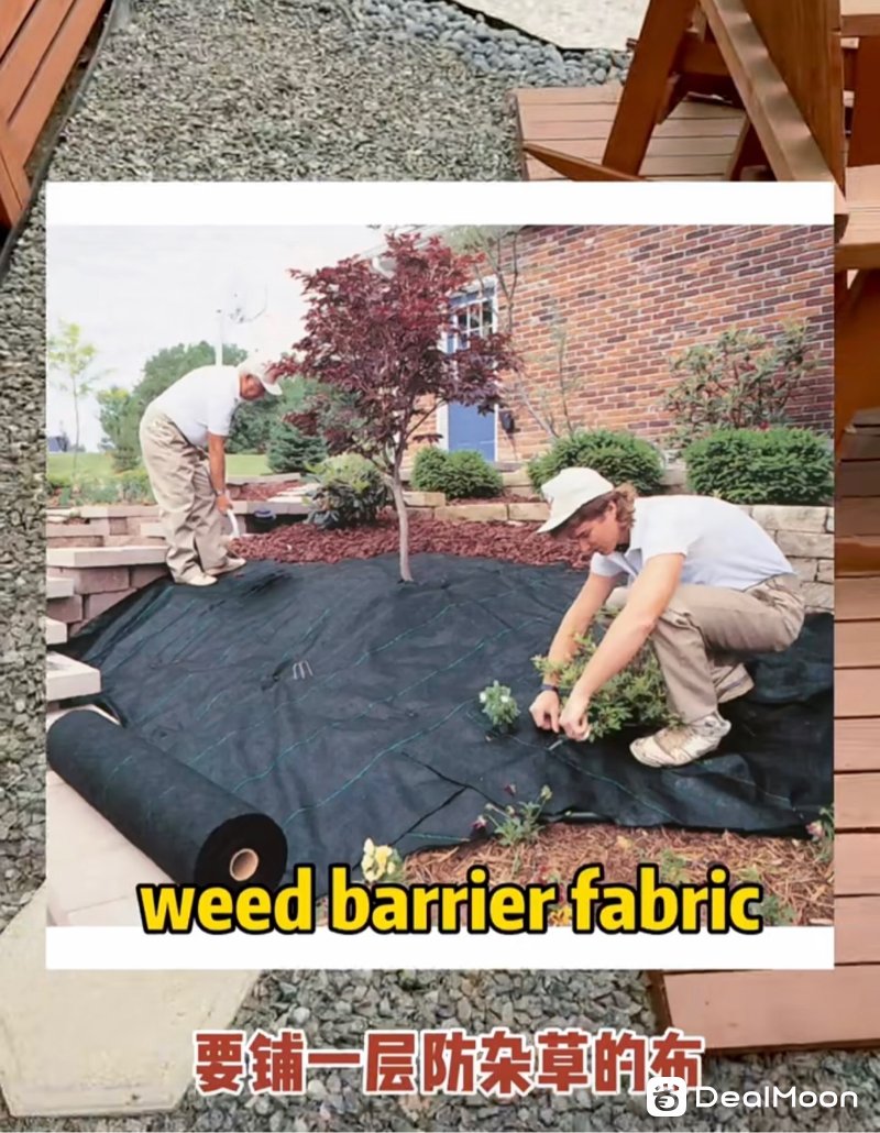 7529fdfbd5e15fe1d3bcc1b.jpg