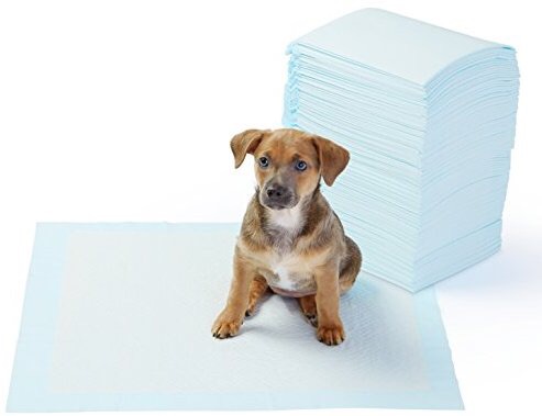 AmazonBasics 亚马逊自营小狗尿垫，100张。