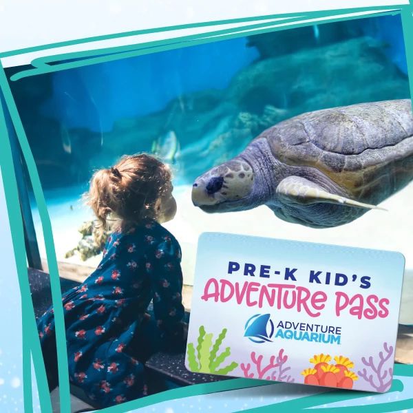 Pre-K Kid's Adventure Pass | Adventure Aquarium