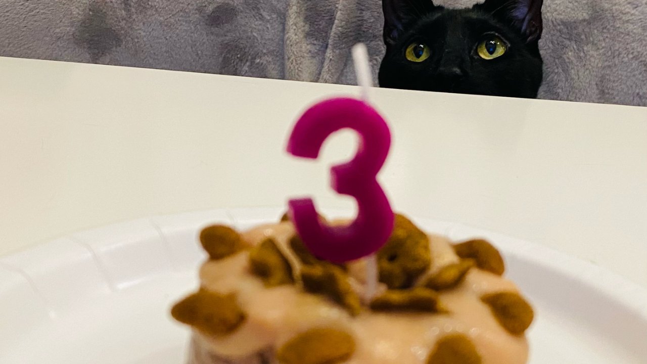 Alan宝贝三岁啦🐱猫生日蛋糕如何做