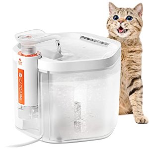 CAT CARE Cat Water Fountain-84oz/2.5L