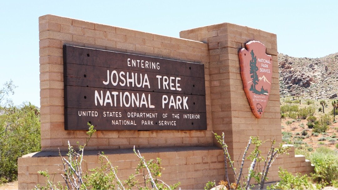 自驾游 | 约书亚树国家公园（Joshua Tree National Park）
