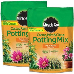 Miracle-Gro Cactus, Palm & Citrus Potting Mix 2-Pack