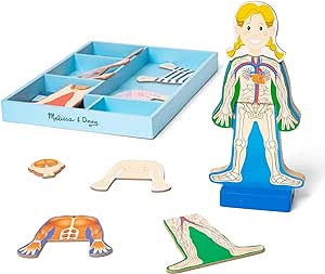 Amazon.com: Melissa &amp; Doug Magnetic Human Body Anatomy Play Set With 24 Magnetic Pieces and Storage Tray : Melissa &amp; Doug: Toys &amp; Games