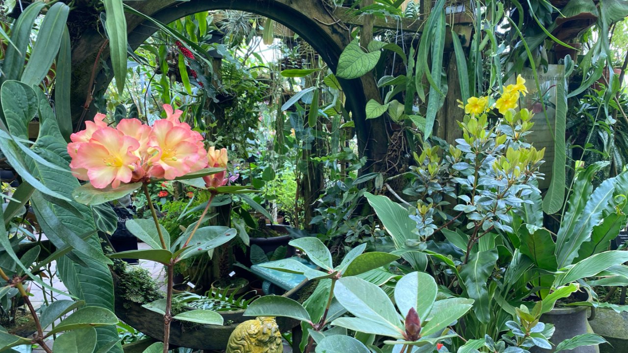 旧金山湾区植物园和温室花房