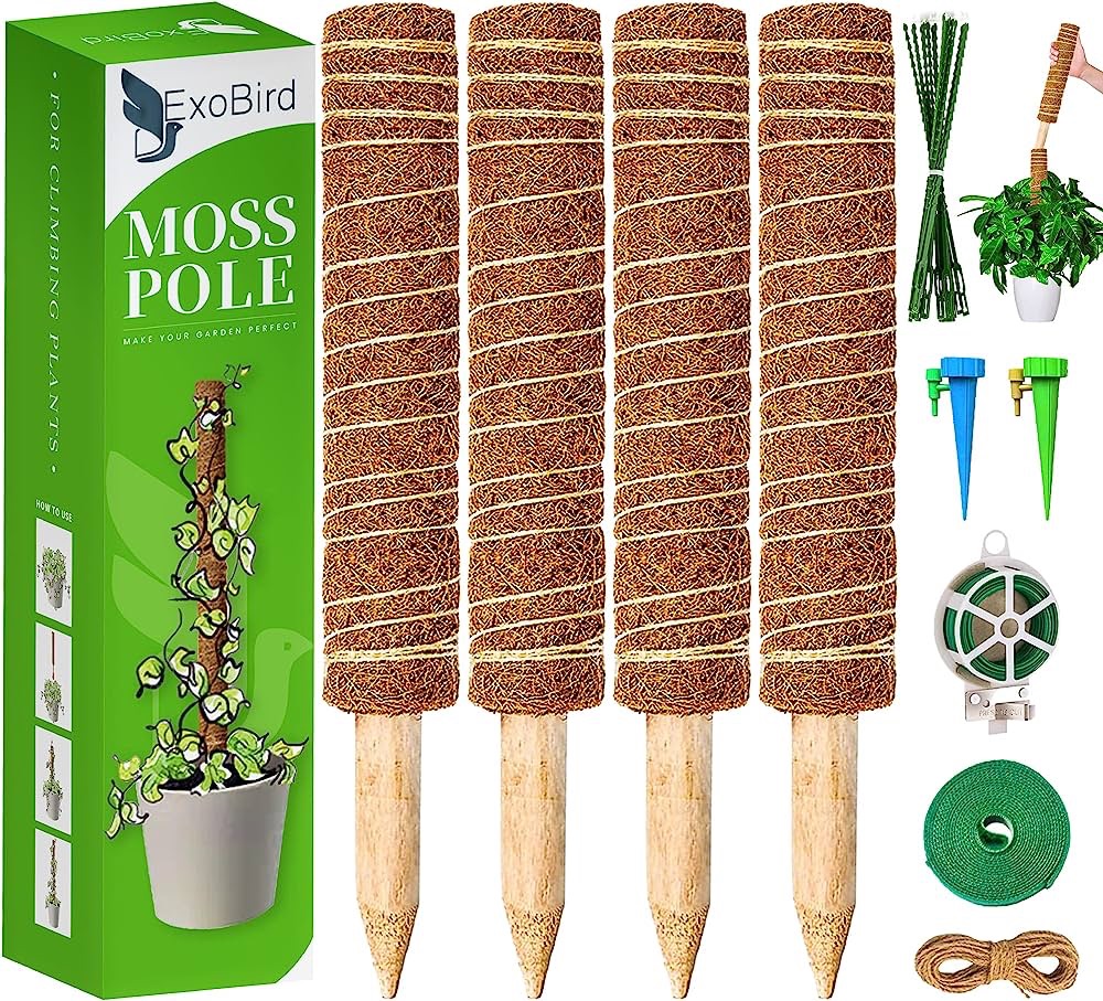Amazon.com : EXOBIRD Moss Pole for Plants Monstera – 4 Pcs 17 Inch Moss Poles for Climbing Plants – Plant Pole for Indoor Plants with 2 Drippers and 65 Feet Garden Twist Tie : 苔藓杆