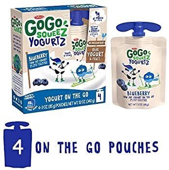 GoGo Low Fat Blueberry Flavored Yogurt 30z 4 bottles