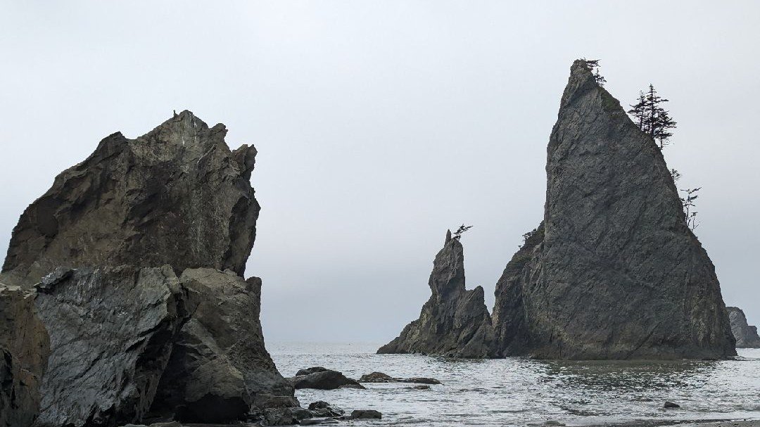 西雅图游记之三：Olympic national park 上（附攻略）