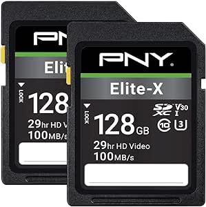 Amazon.com: PNY 128GB Elite-X Class 10 U3 V30 SDXC Flash Memory Card 2-Pack - 100MB/s, Class 10, U3, V30, 4K UHD, Full HD, UHS-I, Full Size SD : Electronics