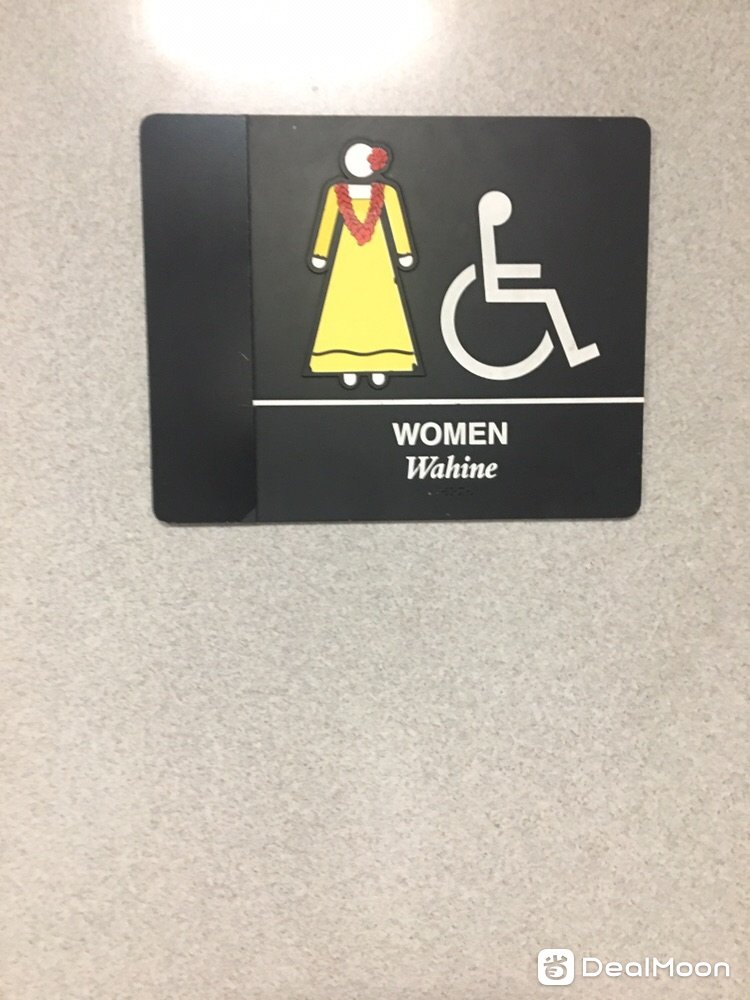 2261f8f52d0c17456305728.jpg
