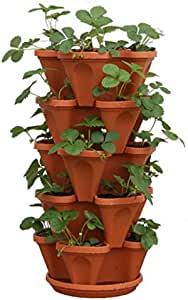 Amazon.com : Mr. Stacky 5-Tier Strawberry Planter Pot, 五层种植塔