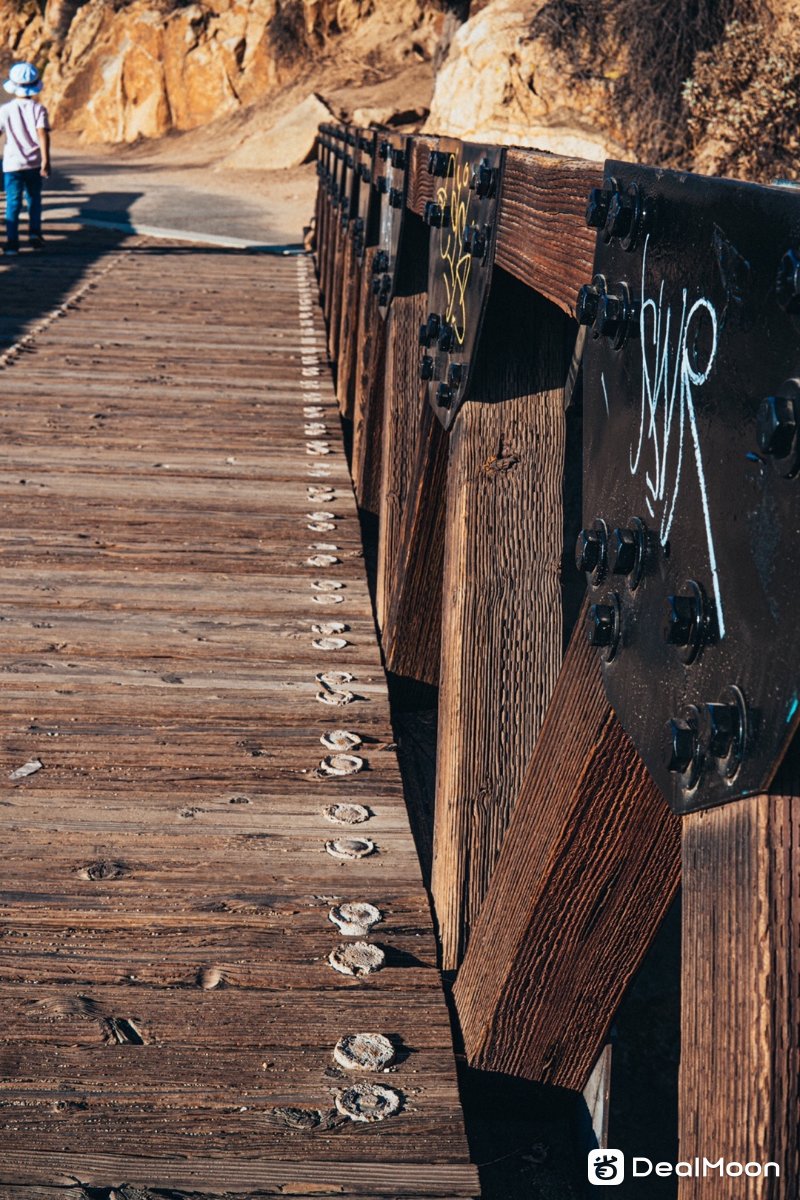 13110a47f6828b1227a83e3.jpg