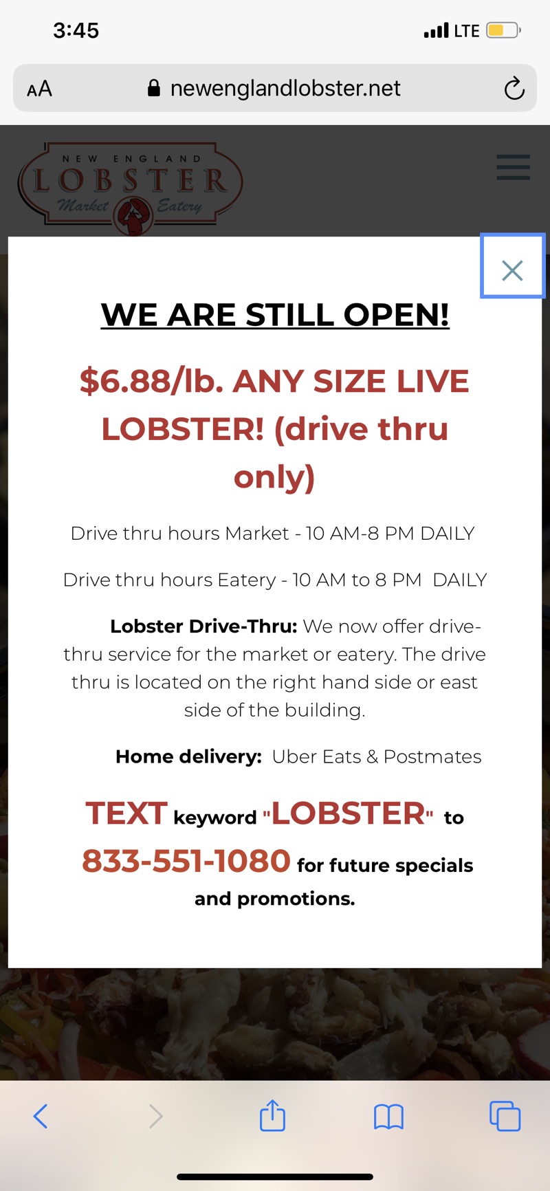 New England Lobster 龙虾