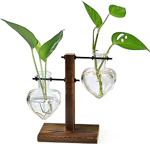XXXFLOWER 植物玻璃容器木架
