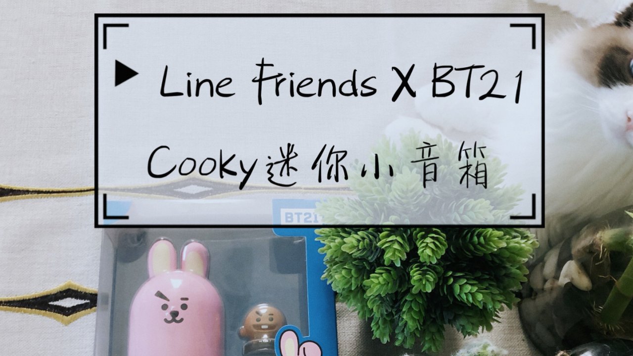 Line Friends X BT21 Cooky萌🐰mini小音箱
